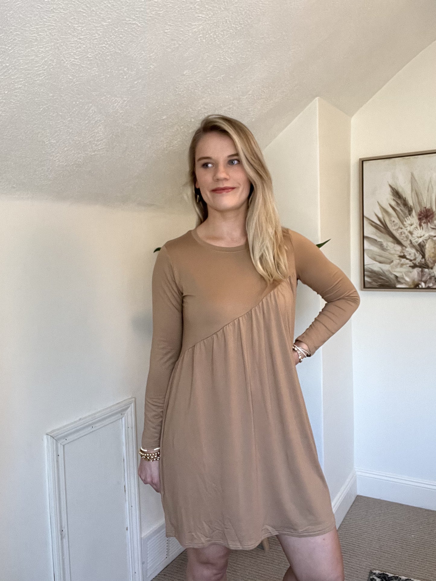 Brown Long Sleeve Dress